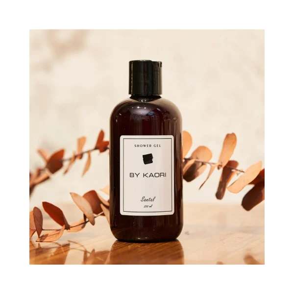 Լոգանքի գել 250մլ Santal