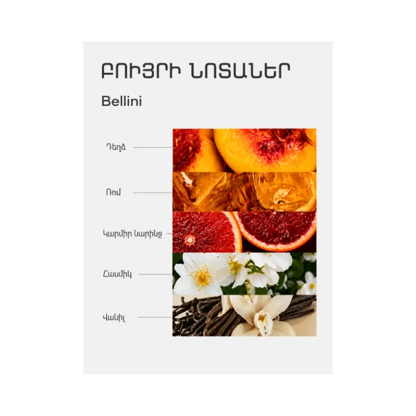 Դիֆուզոր S (125) Bellini կոմպլ․